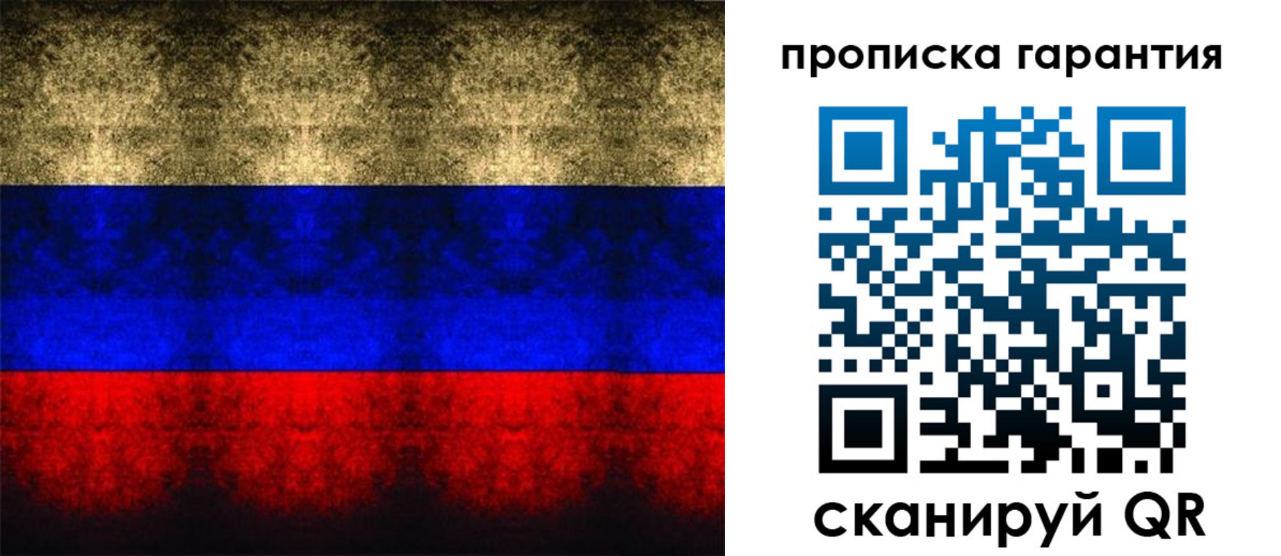 прописка законно в Заринске